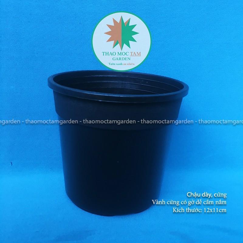 Chậu nhựa dày 12x11cm – Chậu nhựa cứng, dày chất lượng trồng sen đá và cây hoa nhỏ, ươm lan kiếm, lá kiểng