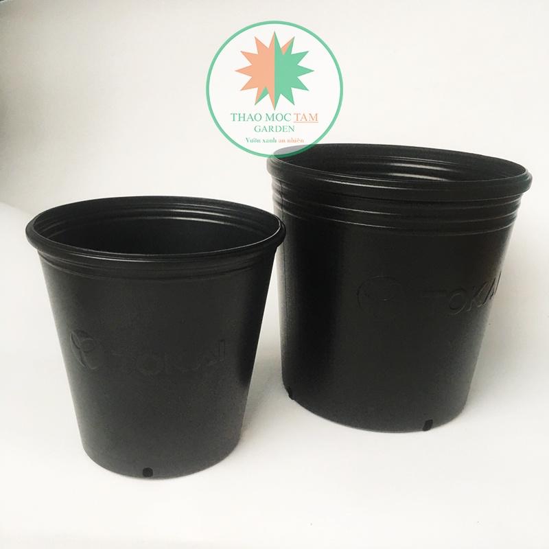 05 Chậu Trồng Cây 24x24cm TOKAI – Chậu to trồng cây chất lượng Nhật