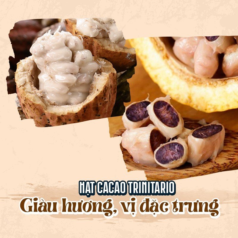 Bột cacao nguyên chất 100% Việt Nam - Dòng Origin thượng hạng túi giấy 500g - Heyday Cacao