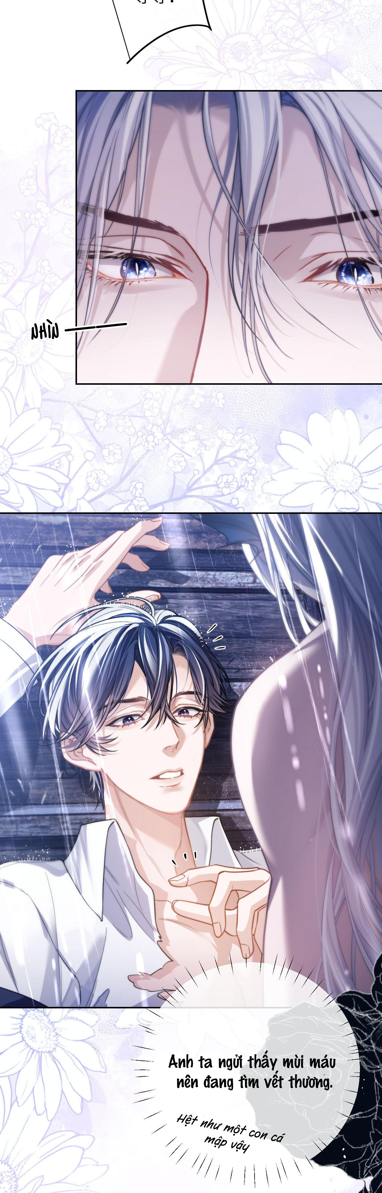 nhân ngư dessaro chapter 7 2