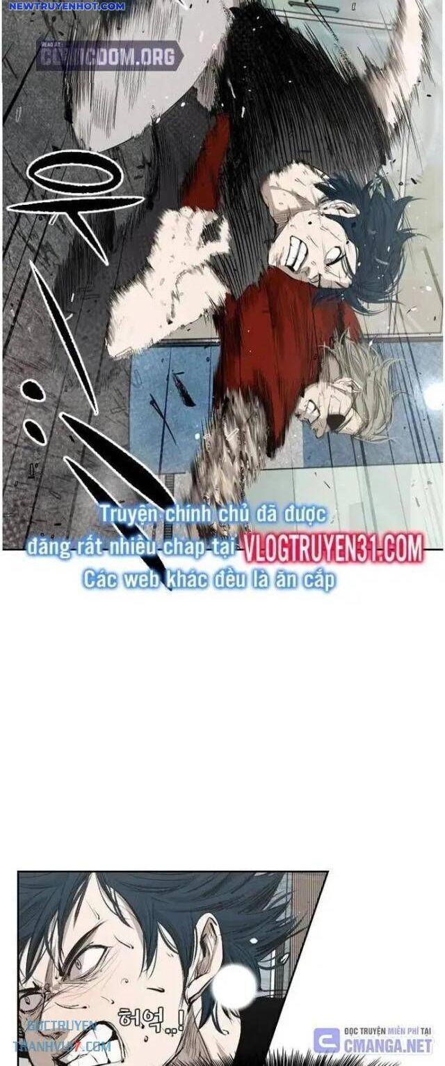 shark - cá mập chapter 126 42