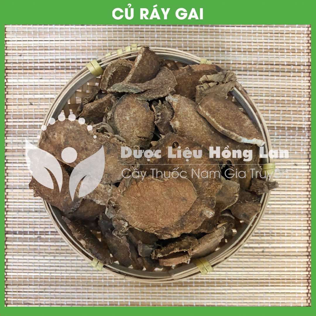 1kg Củ Ráy Gai (Móp Gai) khô sạch