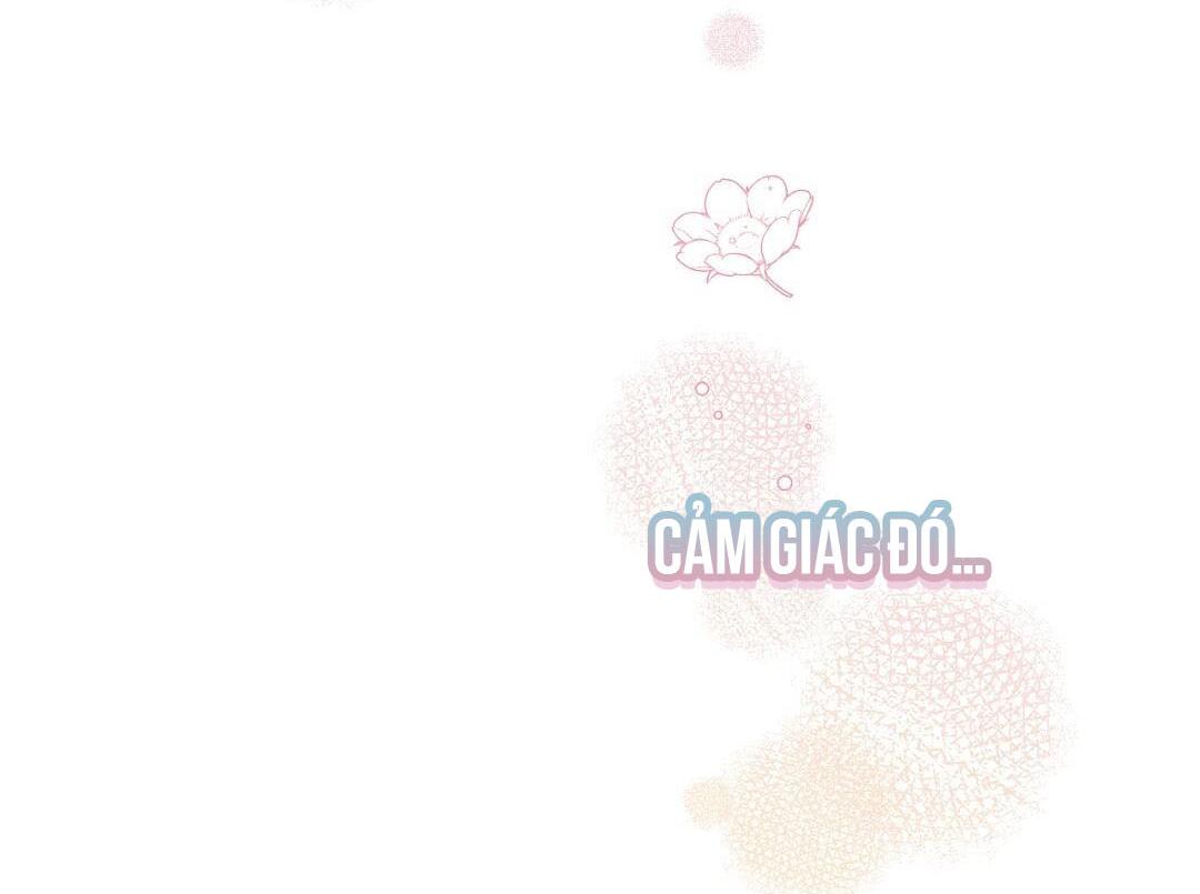 HOÀNG TỬ HƯ HỎNG CHE GIẤU MÌNH LÀ OMEGA chapter 16