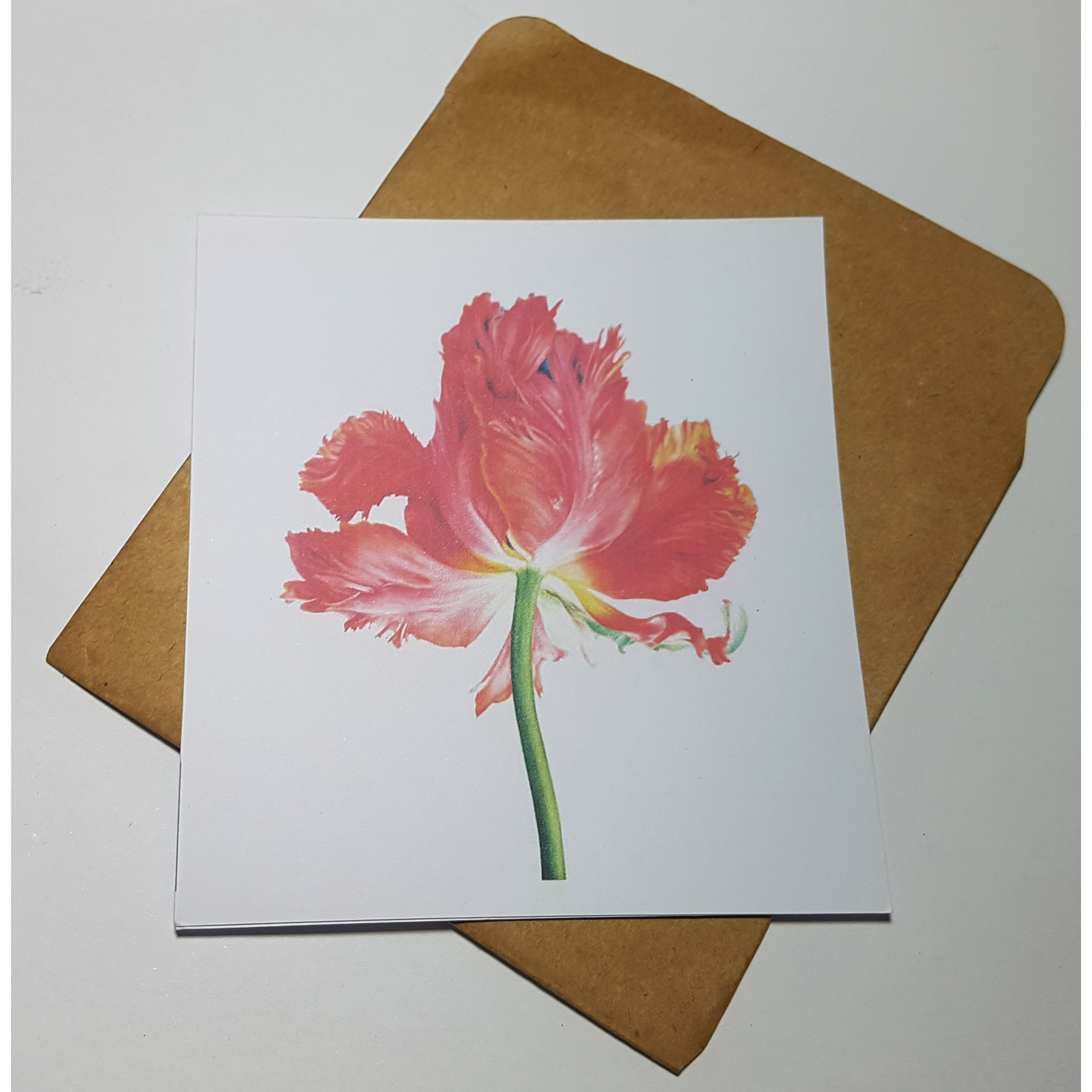 Thiệp phong cách Vintage card quà cám ơn ,chúc mừng sinh nhật và giử tặng người thân yêu