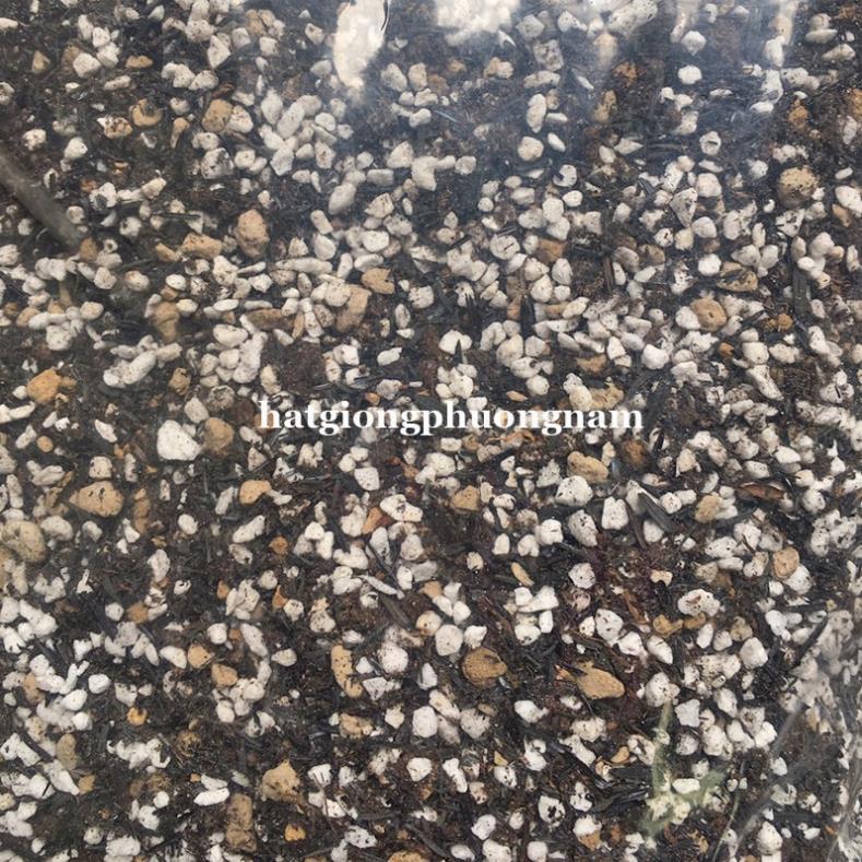 2 KG ĐẤT CAO CẤP TRỒNG XƯƠNG RỒNG - SEN ĐÁ