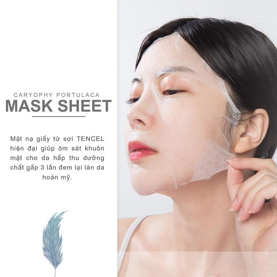 Hộp 10 Mặt Nạ Ngừa Mụn Chuyên Sâu Caryophy Portulaca Mask Sheet 22gr x 10