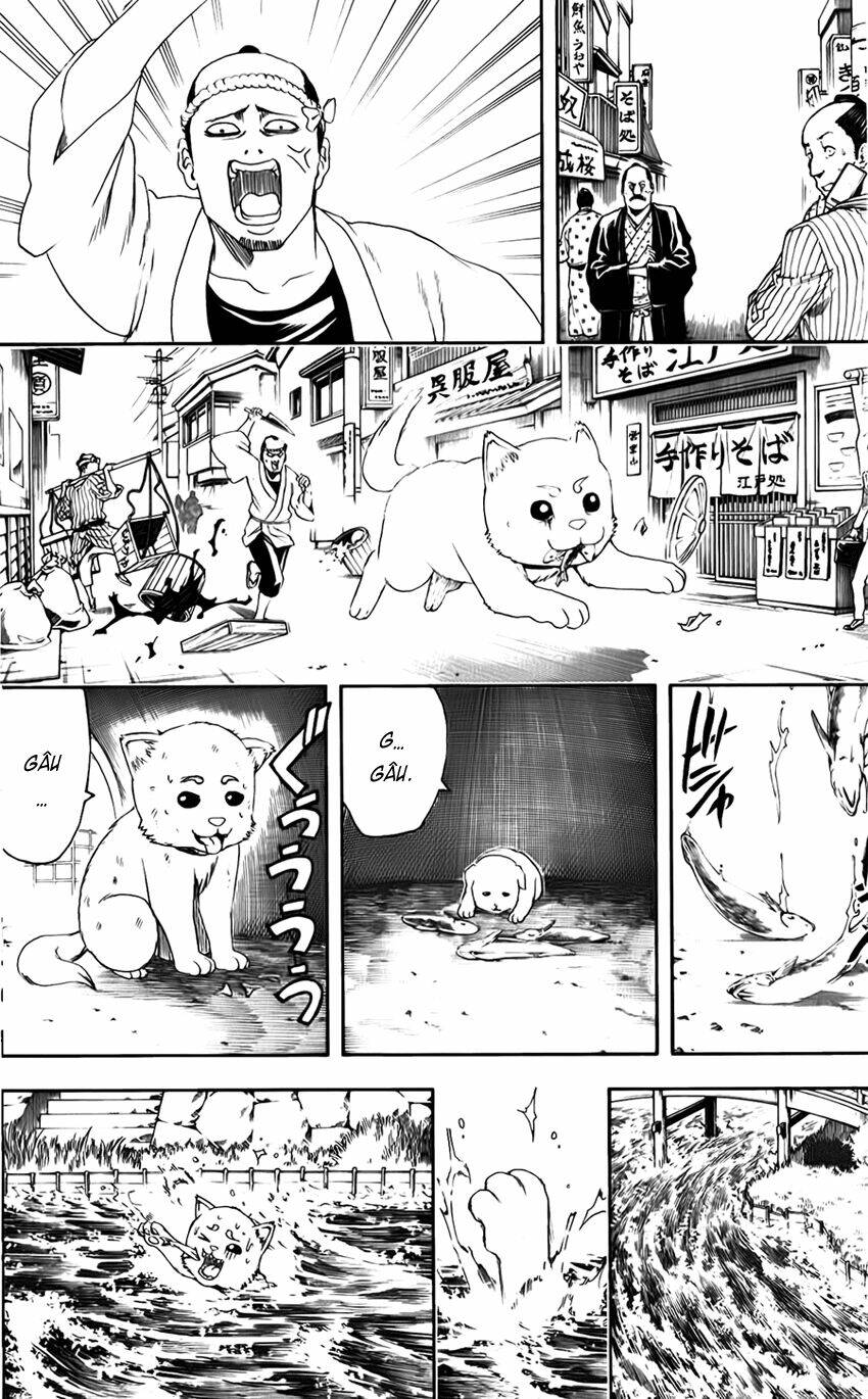 gintama - linh hồn bạc chapter 402 13