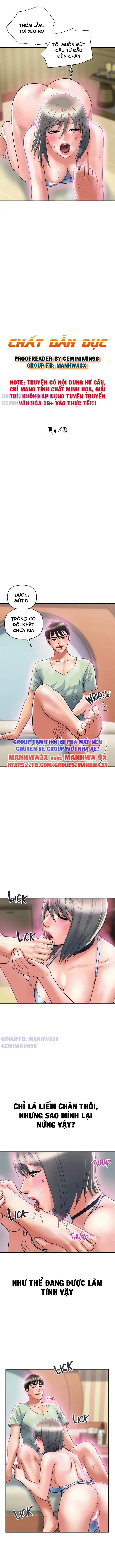 chất dẫn dục chapter 43 1