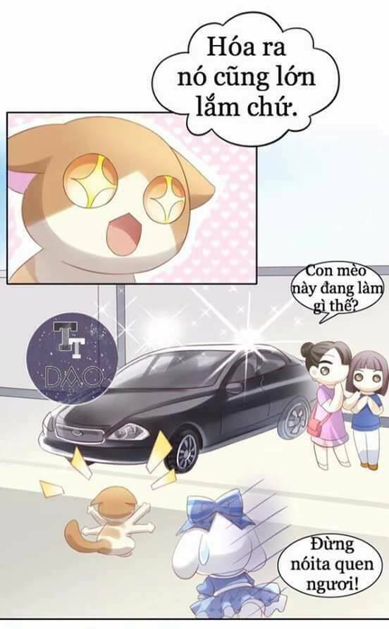 dưới móng vuốt mèo chapter 7 37