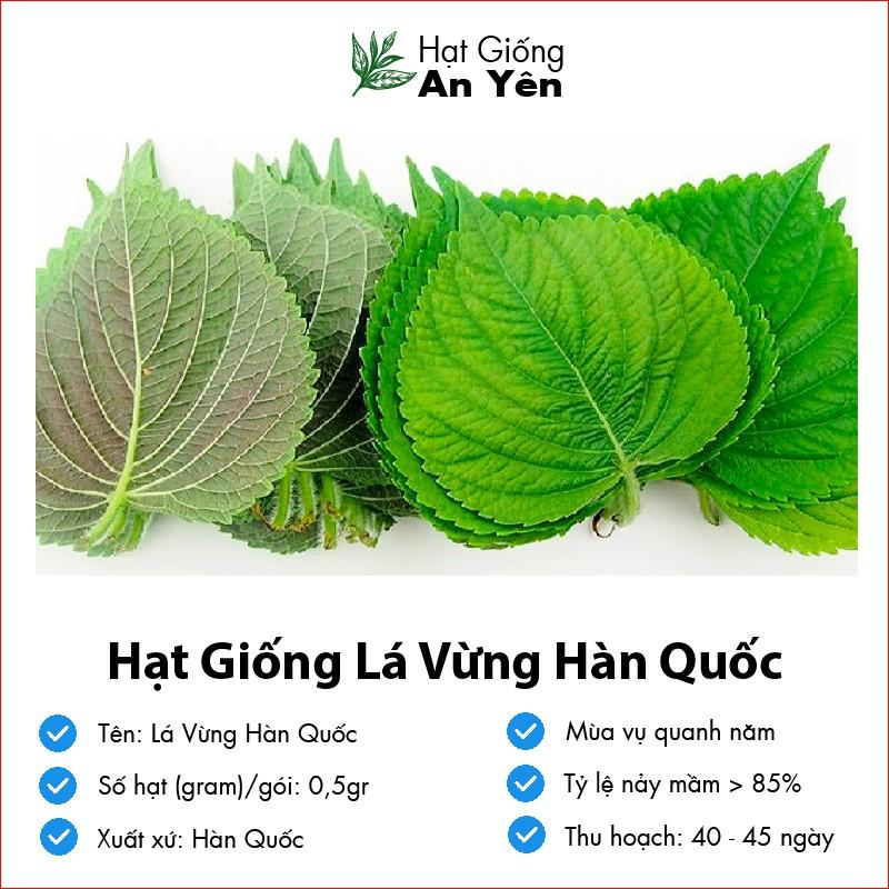 Hạt giống Lá Vừng Hàn Quốc, thu hoạch sớm, dễ trồng, nảy mầm cao, sinh trưởng khoẻ,