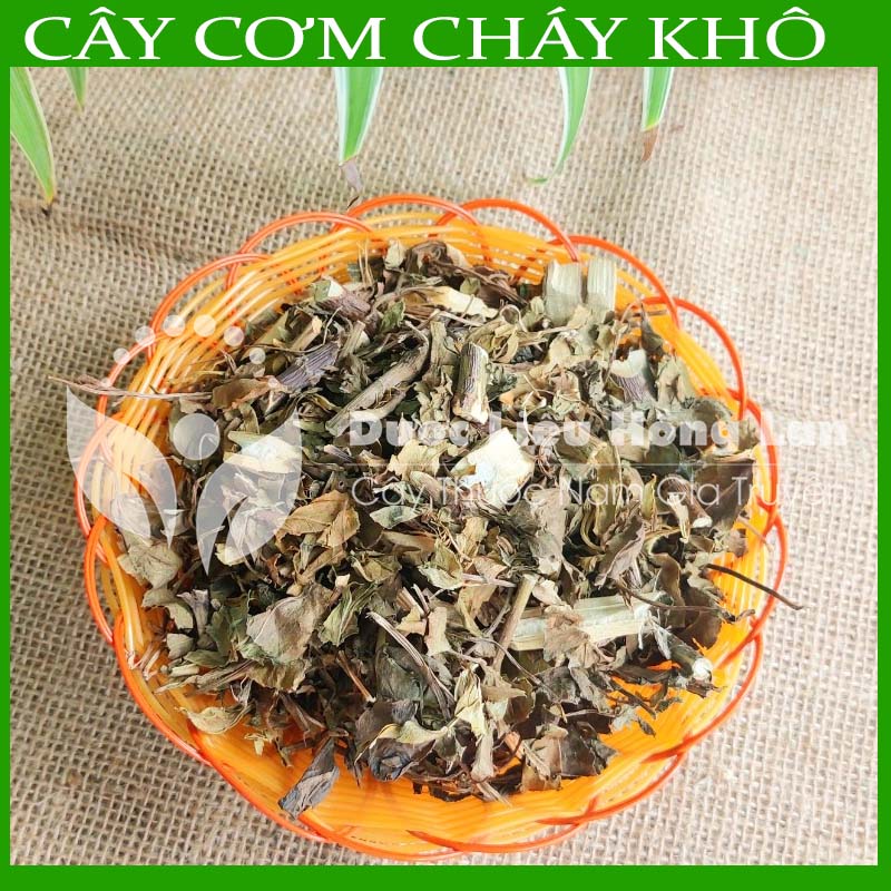 Cây Cơm Cháy khô sạch đóng gói 500g