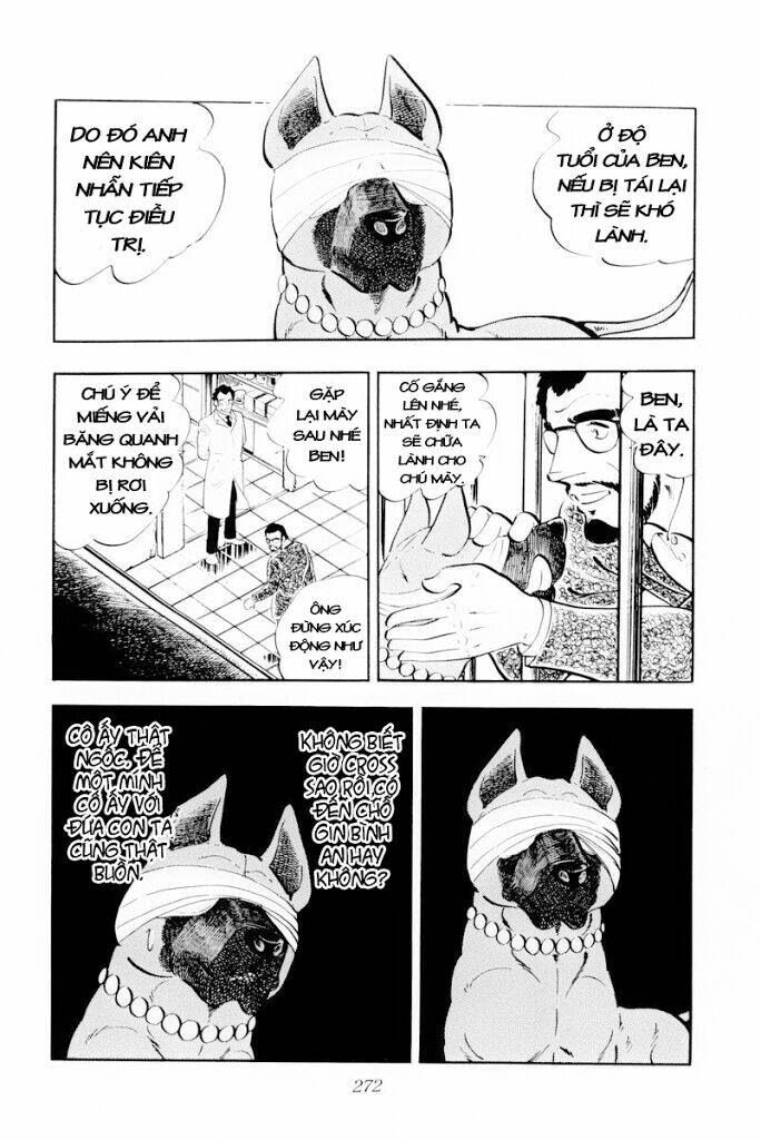 chú chó có nghĩa - ginga nagareboshi gin chapter 30 30