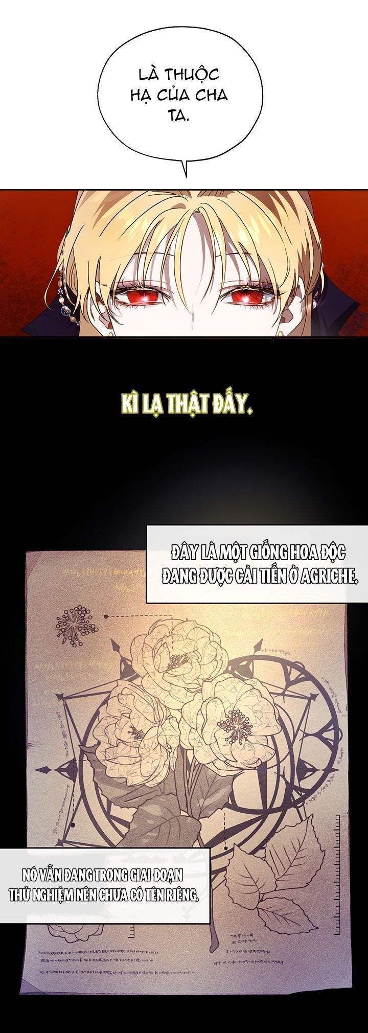 cách để cứu rỗi anh trai của nữ chính chapter 10 35