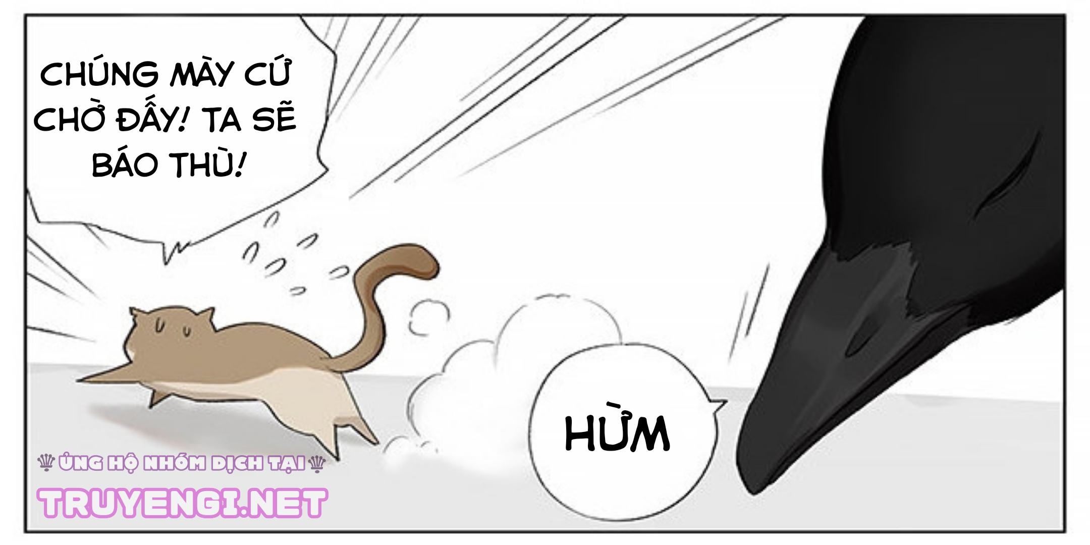 sẻ chiếu mới và nhạn phong sương chapter 1 11