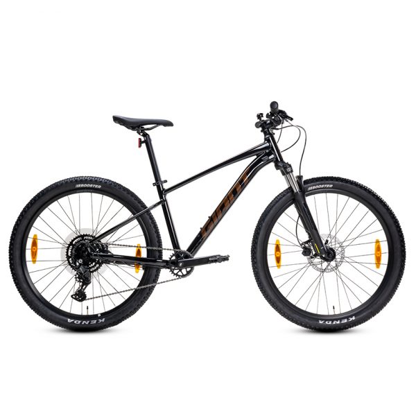 Xe Đạp Thể Thao Địa Hình MTB GIANT Talon 29 2 – Phanh Đĩa, Bánh 29 Inches – 2024