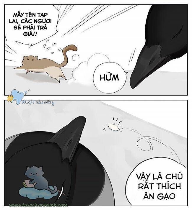 chim sẻ gọi ngỗng trời chapter 1 6