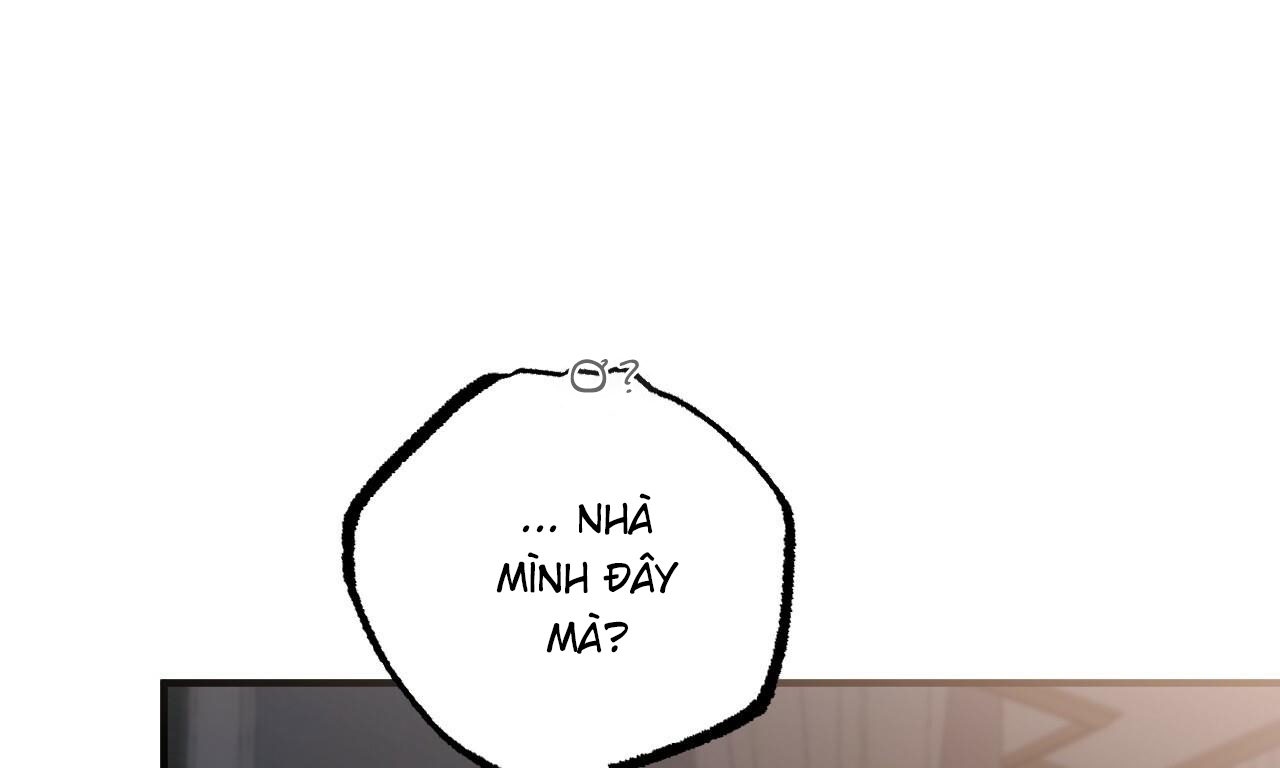 những chú thỏ của hapypy chapter 51 23