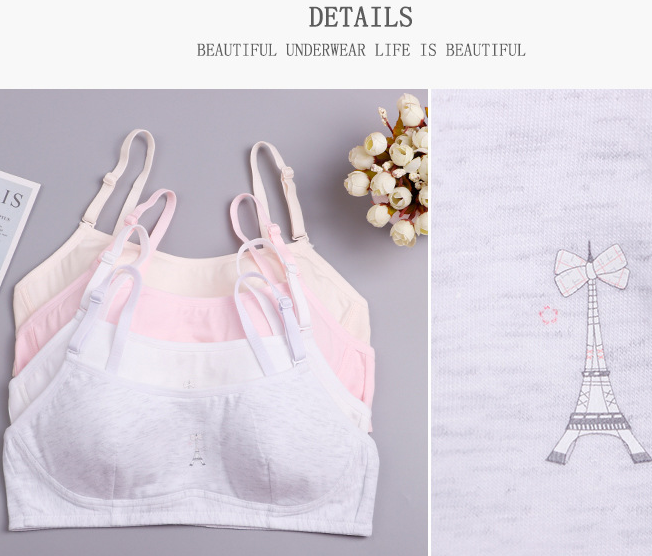 Bra / Áo Lá Nữ Sinh Cotton Hình Tháp Xuất Đông Âu Hàng Loại Đẹp.