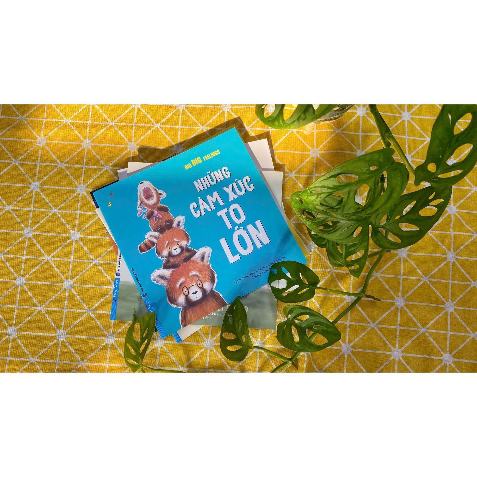 Làm Chủ Cảm Xúc - Những Cảm Xúc To Lớn - Bản Quyền