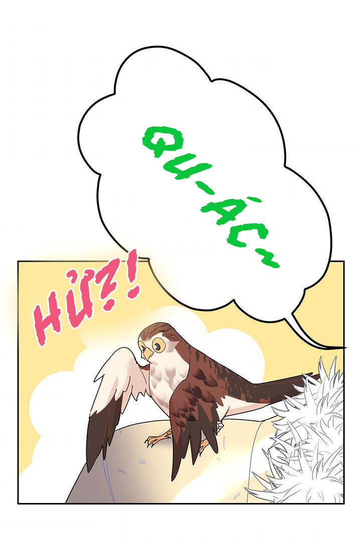 công chúa của loài chim chapter 22 83