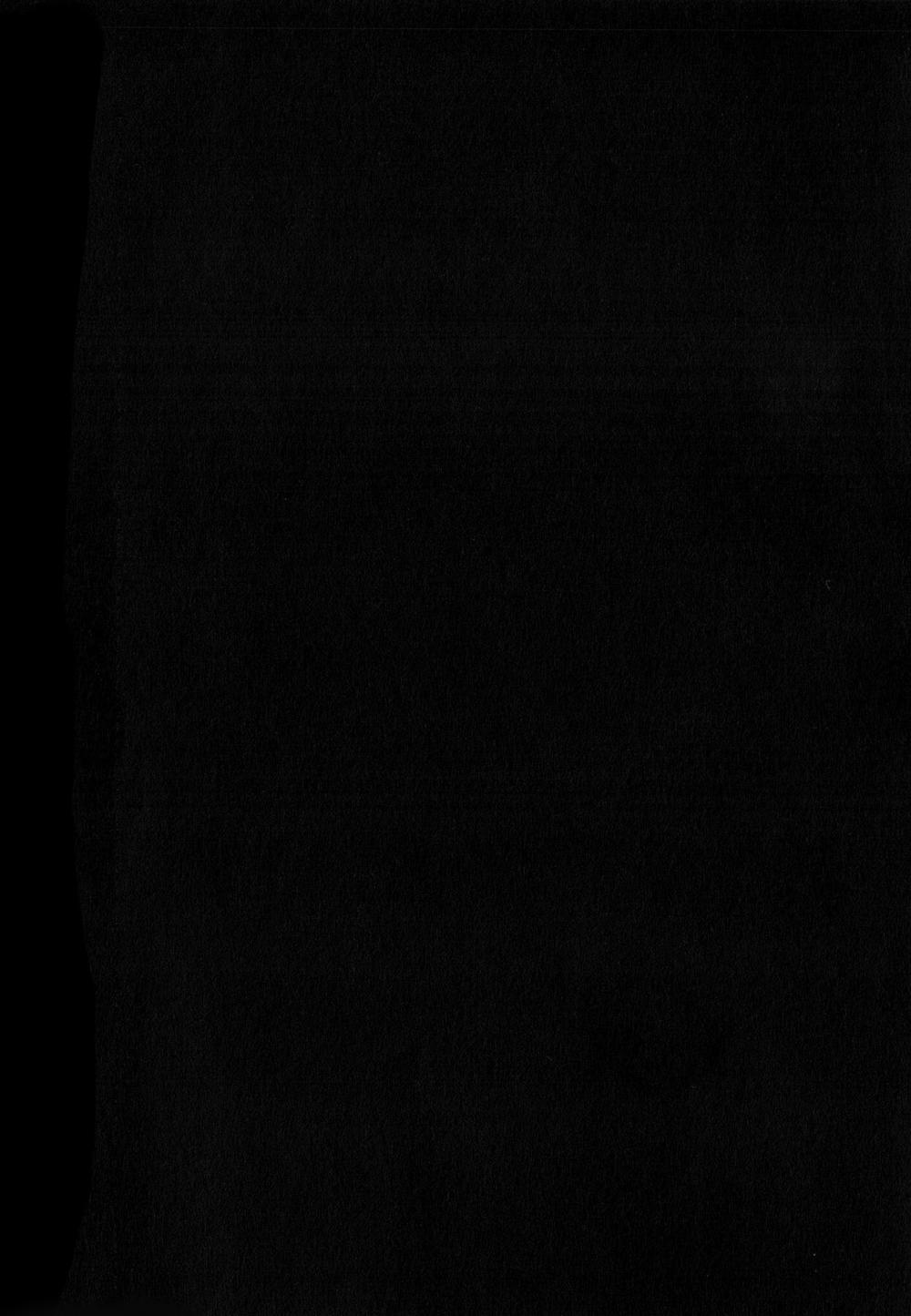 fate/strange fake chapter 3 46