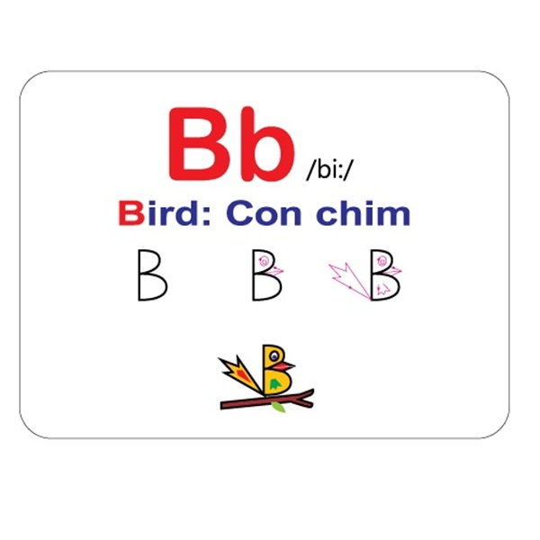 Hộp Combo Flash card – Thẻ học thông minh (song ngữ Anh Việt) 12 - 14 chủ đề 312 thẻ (Tặng kèm 1 Bộ thẻ chữ và số tiếng Việt + 1 Bộ Thẻ chữ cái tiếng Anh))