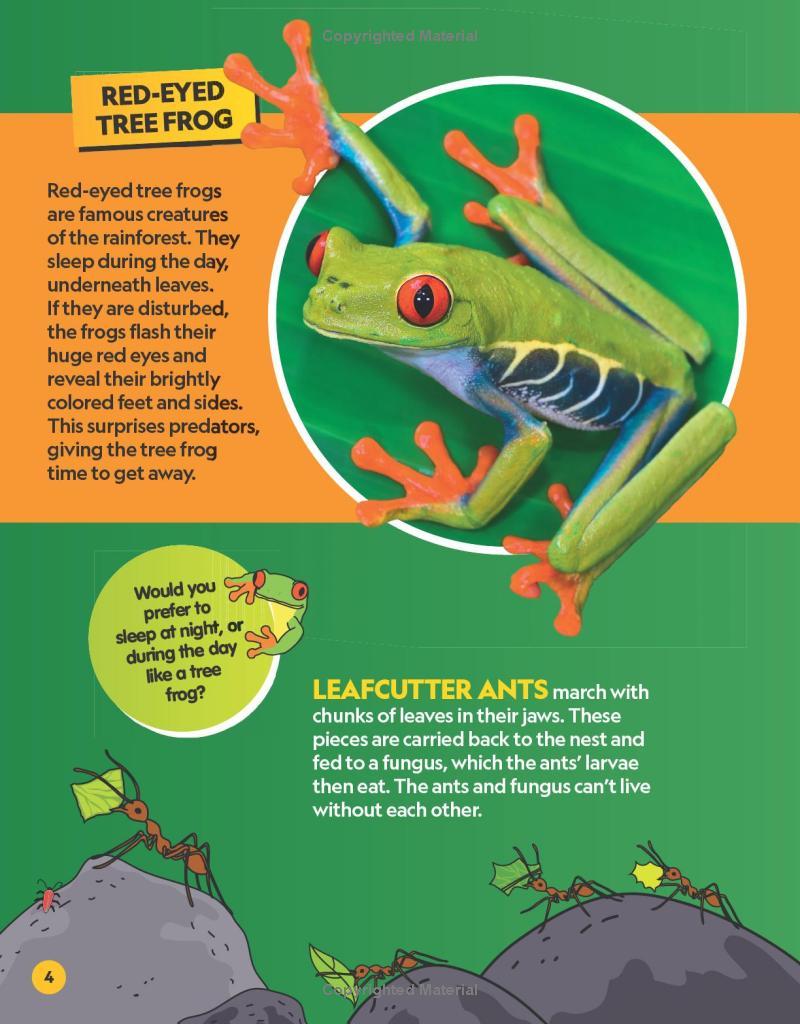 Sách ngoại văn: Find It! Explore It! Animals