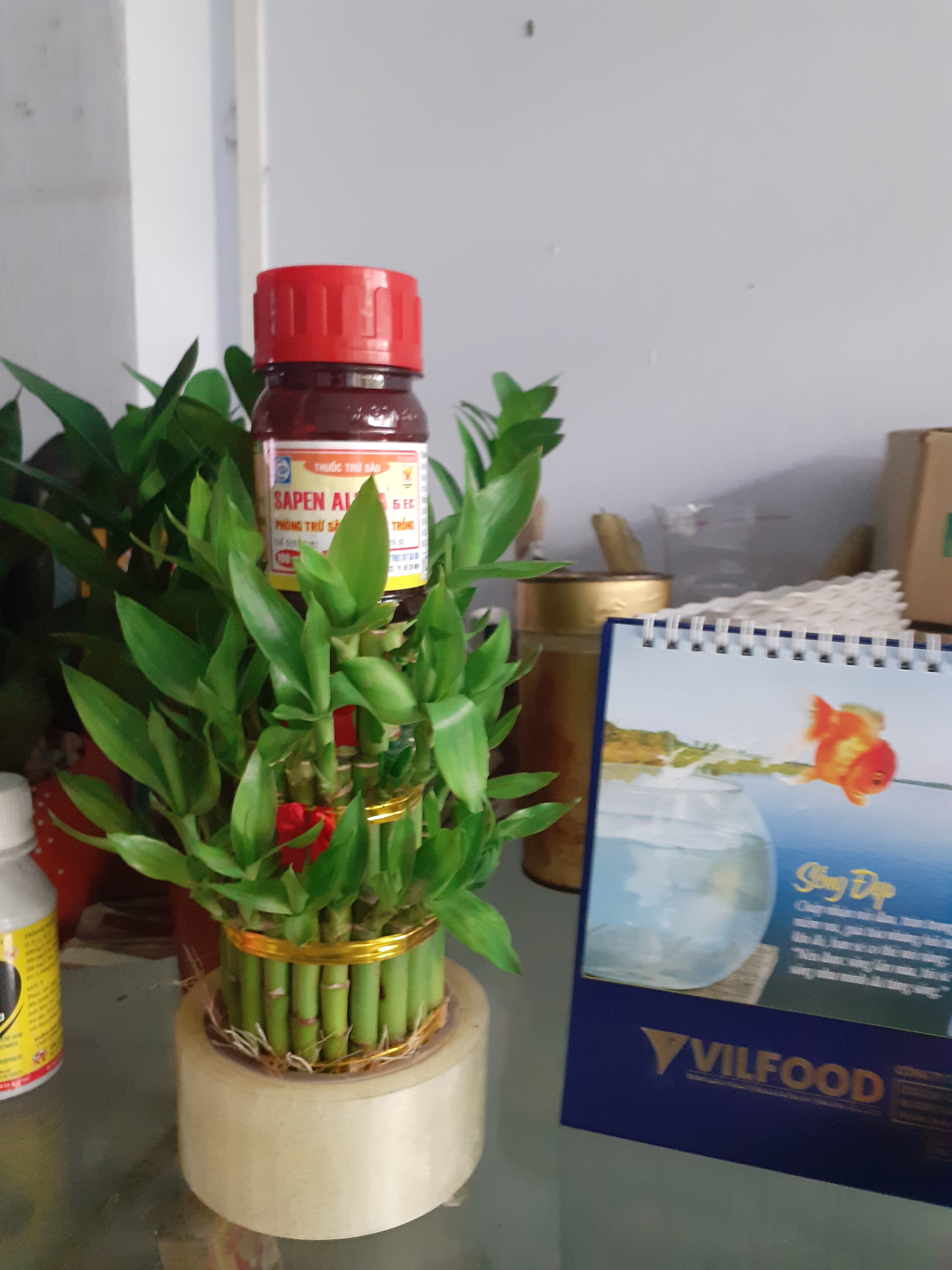 Chế phẩm phòng sâu hại cây trồng