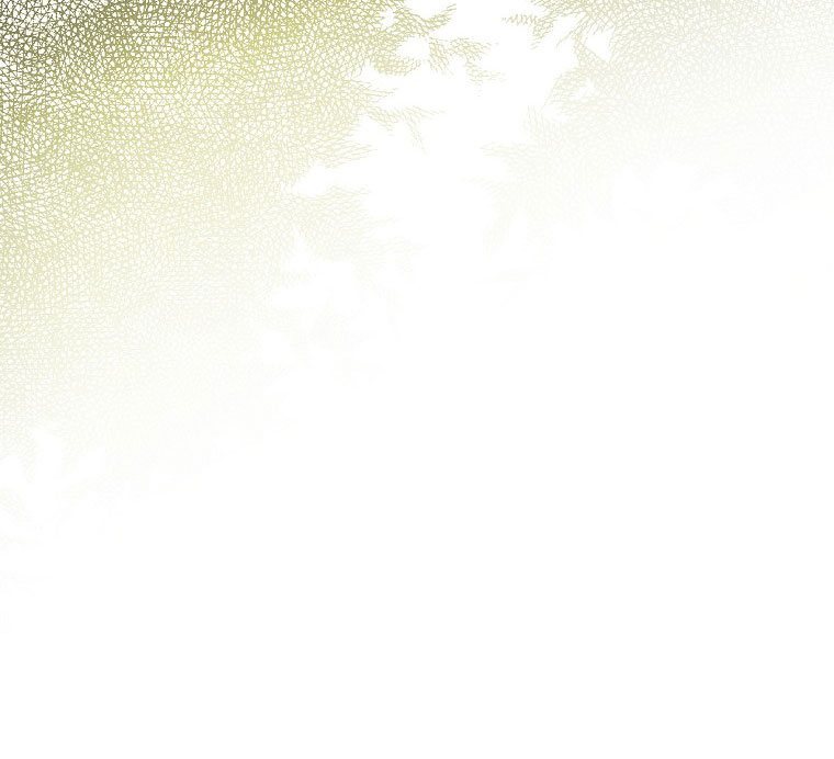 quý cô bí ẩn - secret lady chapter 78.2 9