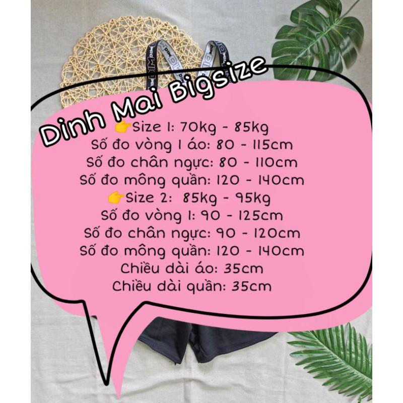 Set Bra bigsize tập gym 70-95kg