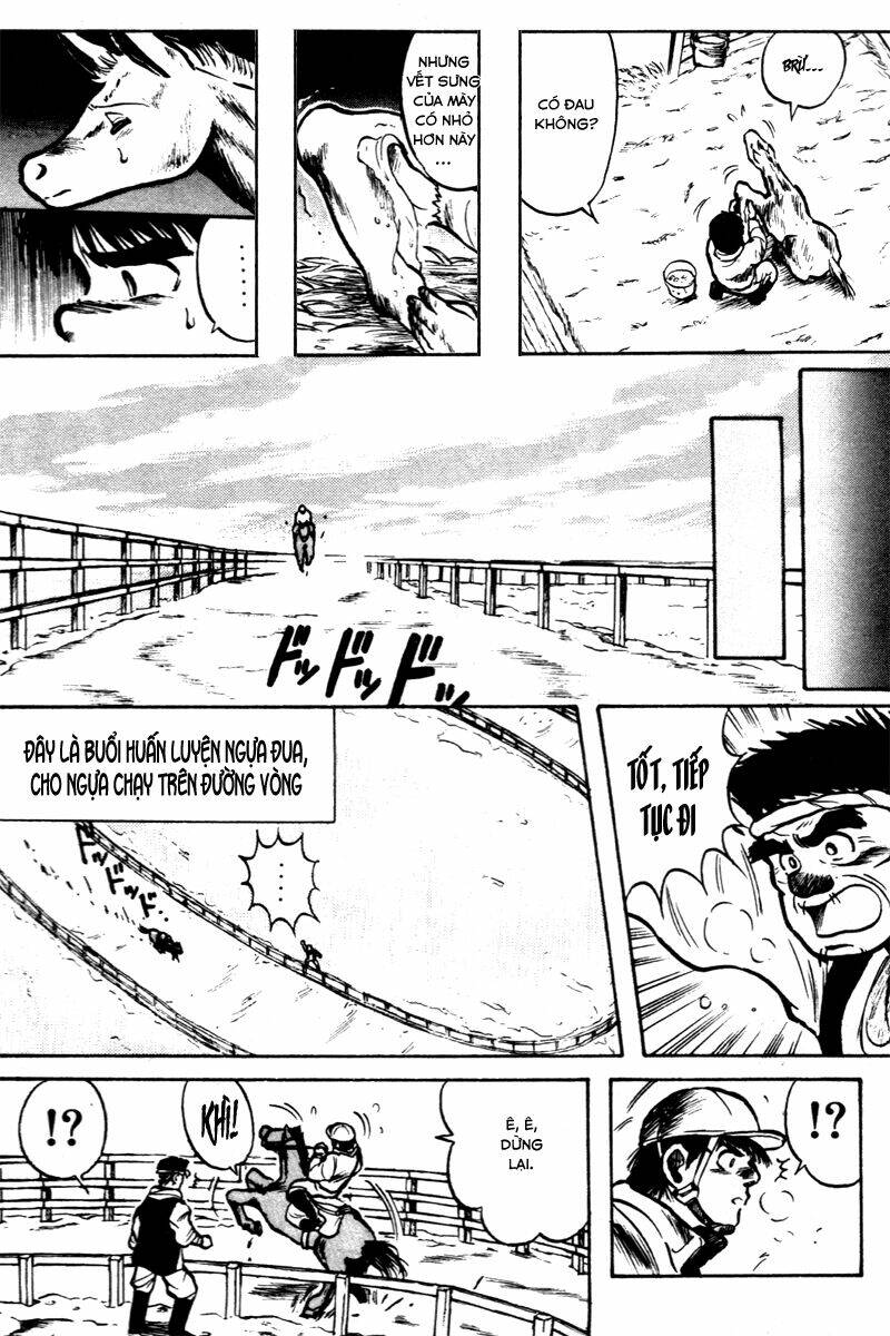 kaze no sylphid - phong mã silphid chapter 3 7