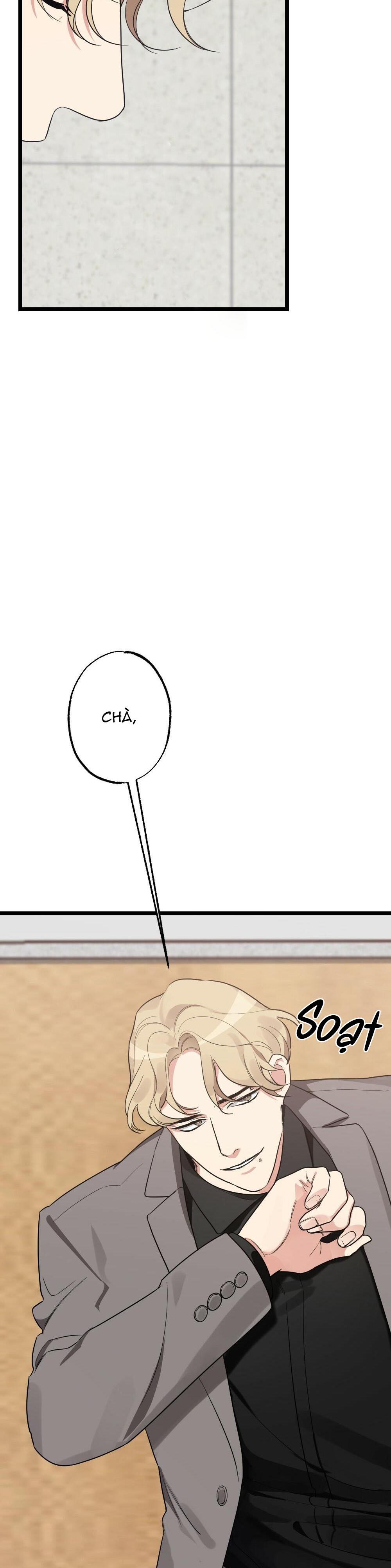 chăm sóc chapter 19 31