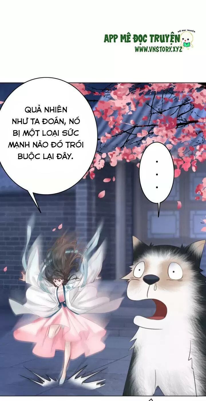 cực phẩm phế vật tiểu thư chapter 106 28