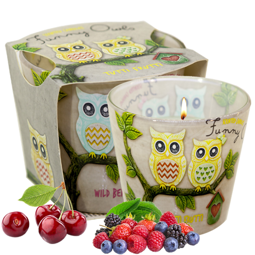 Ly nến thơm tinh dầu Bartek Funny Owls 115g QT00668 - hương quả ngọt (giao mẫu ngẫu nhiên)