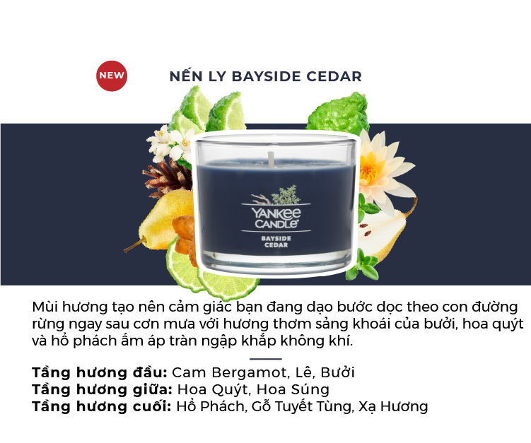 Nến ly mini Yankee Candle (37g) - Bayside Cedar