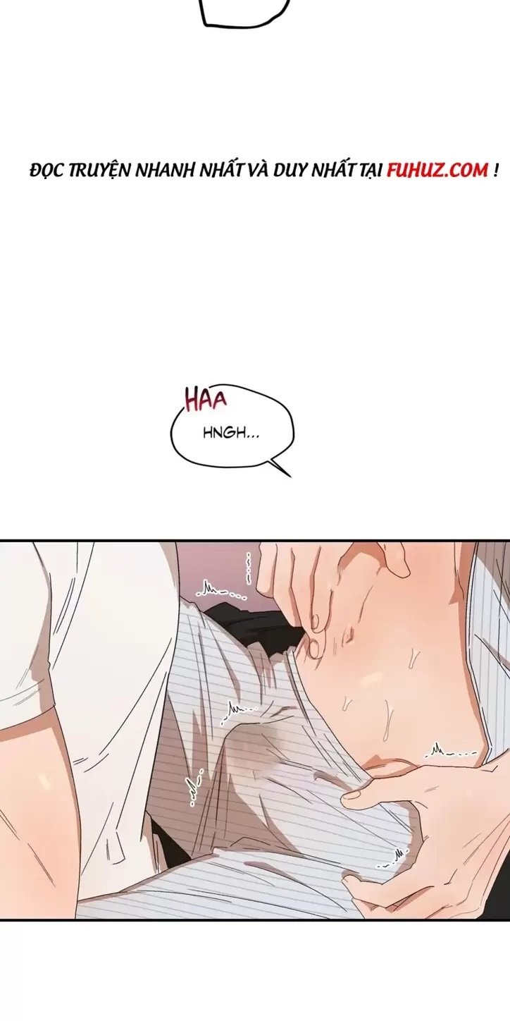 liveta chapter 25 31