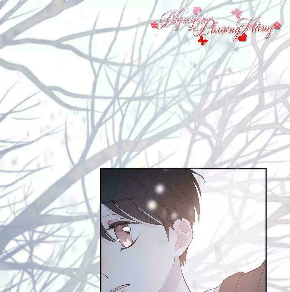 sắc đẹp do trời sinh của tôi chapter 2 40