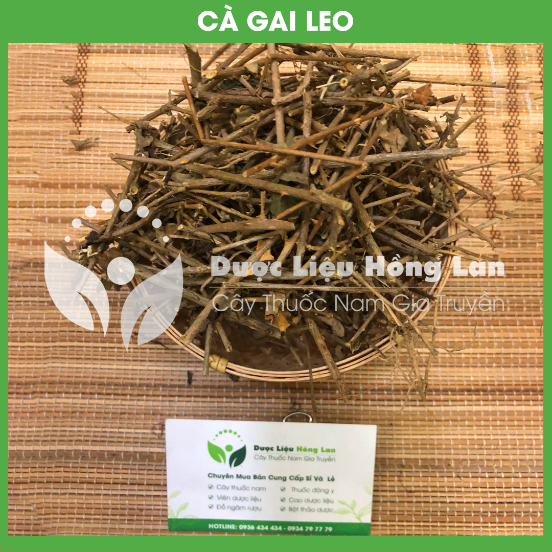 Cây CÀ GAI LEO khô sách đóng gói 1kg