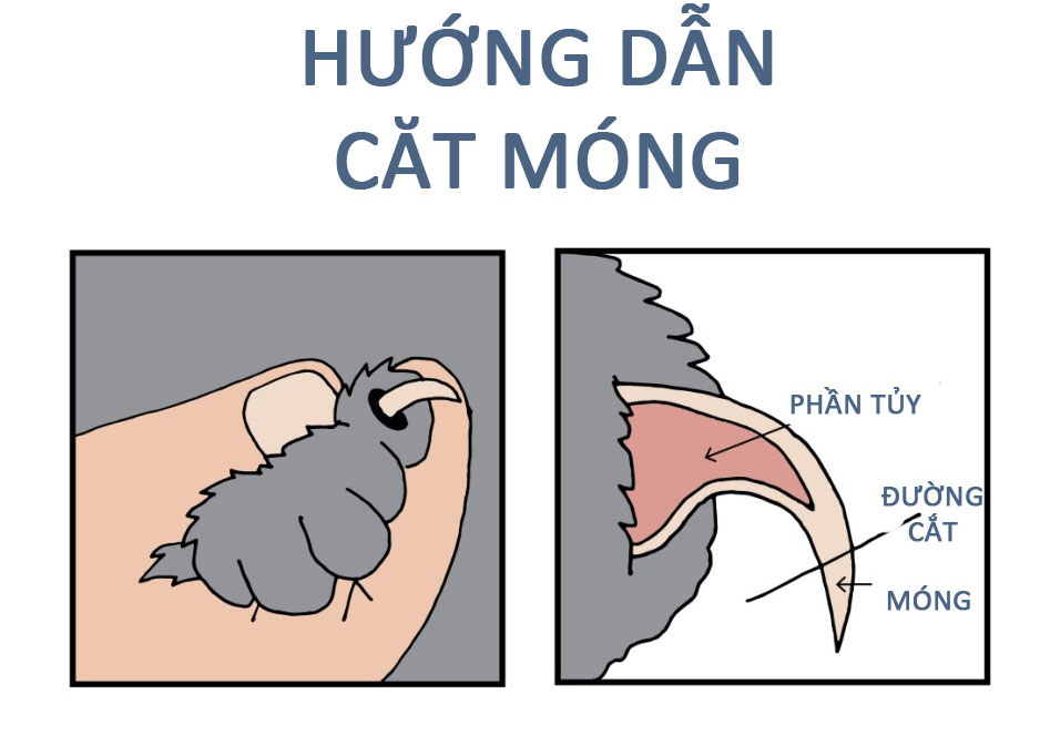 Kéo cắt móng cho mèo