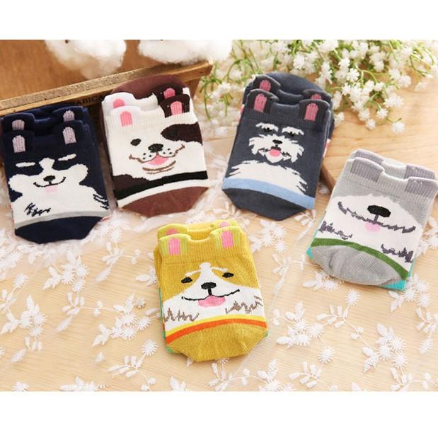 Set 5 Đôi Tất QBK Hình Thú Siêu Ngộ Nghĩnh Cho Bé