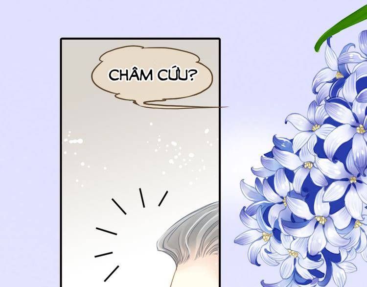 Siêu Sao Trứ Danh chapter 64 - Trang 36