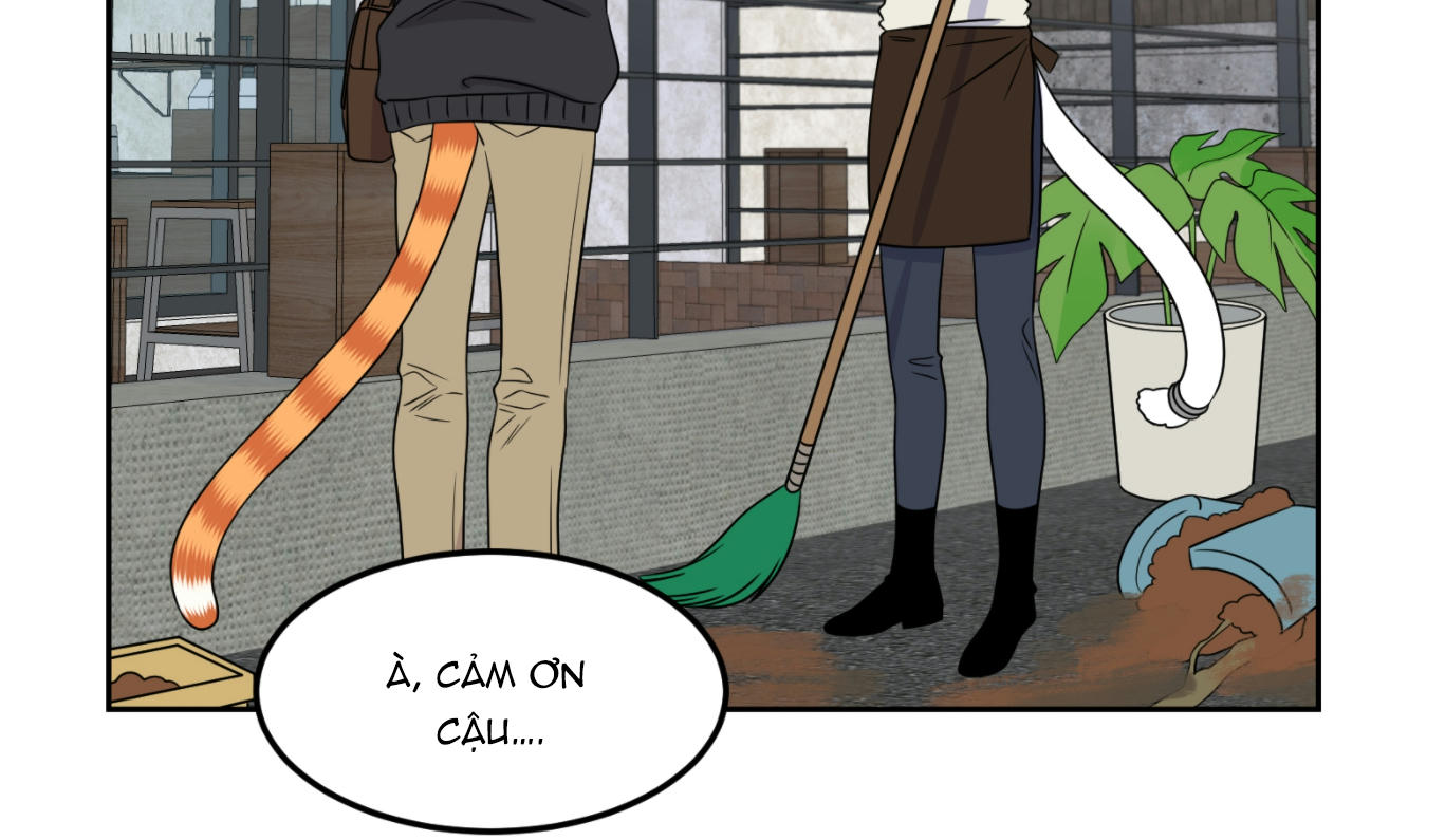 dự án xanh chapter 21 48