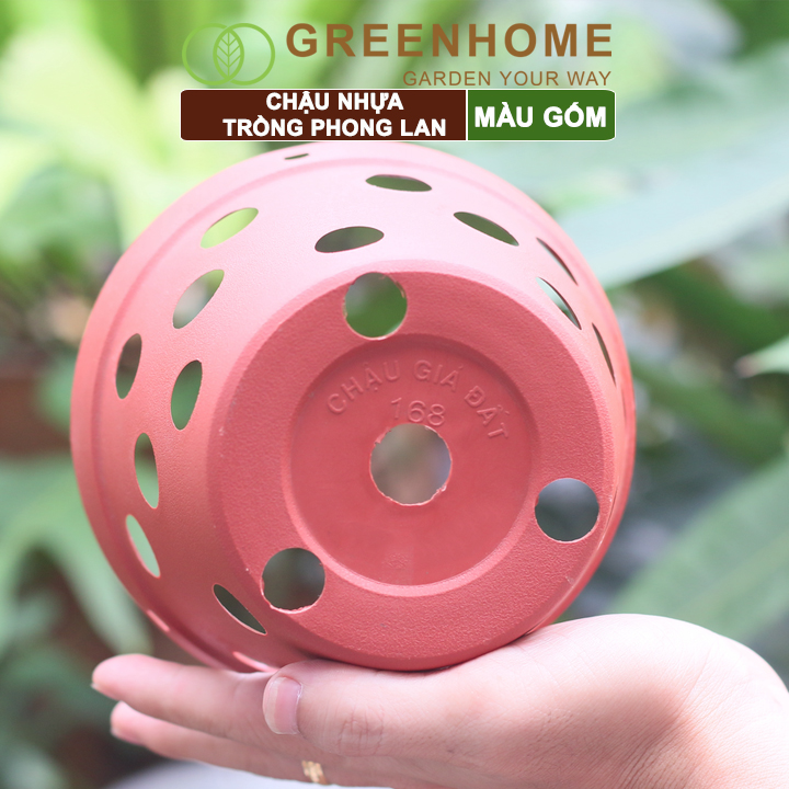 Chậu nhựa trồng phong lan, R15xC10cm, màu gốm, bền, đẹp, chống rơi vỡ, giá thành tốt |Greenhome