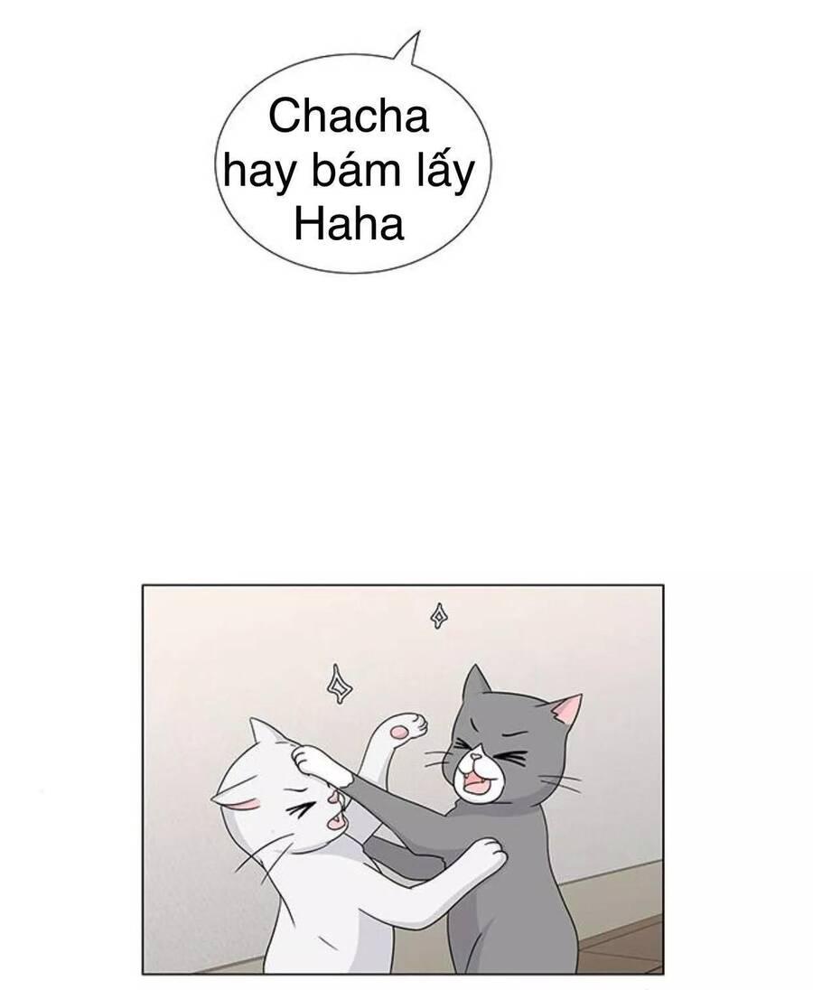 idol và sếp, em yêu ai? chapter 117 24