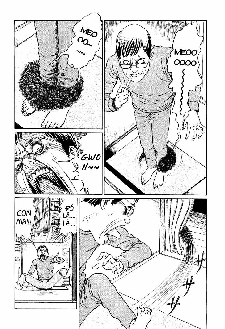 ito junji cat's diary chapter 9 6
