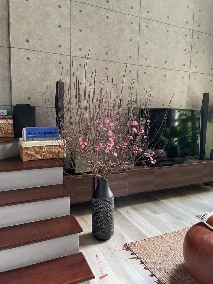 Bình gốm hoạ tiết Sia đen