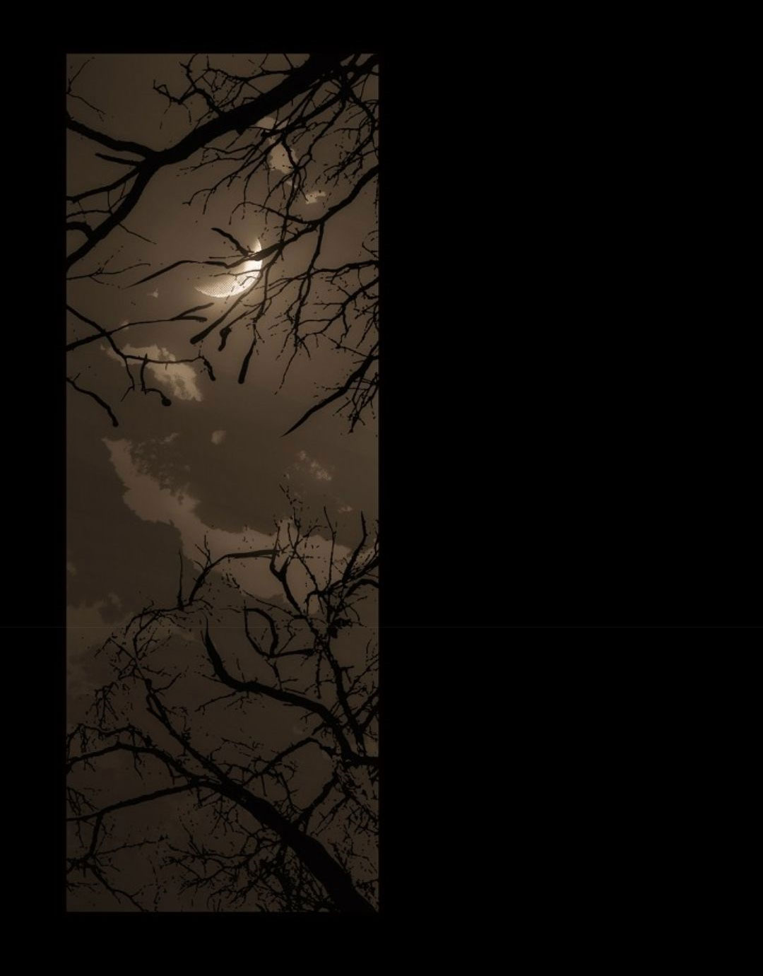 cổ tích về người mẹ kế chapter 59 2