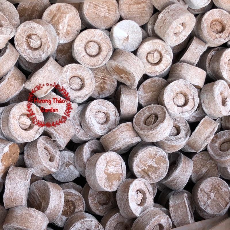 10 Viên Nén Sơ Dừa Ươm Hạt Giống