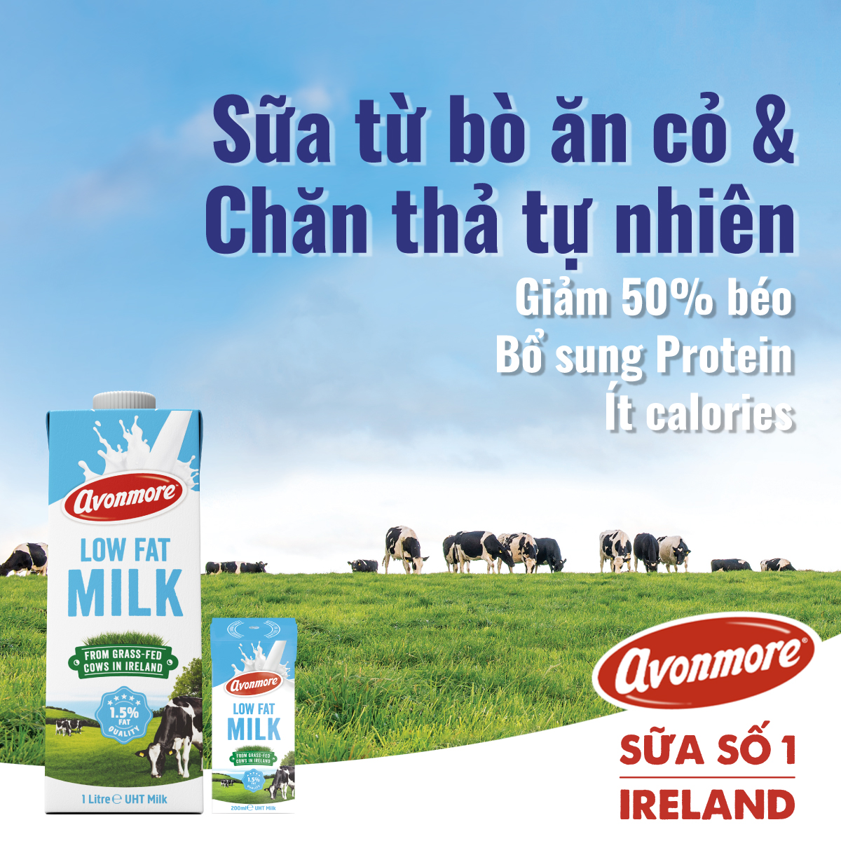 Lốc 3 hộp Sữa tươi ít béo tiệt trùng (không đường) Avonmore UHT Low Fat Milk 200ml