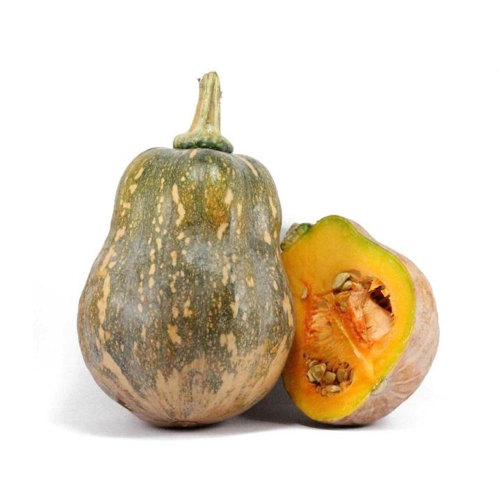 Bí đỏ hạt đậu lai F1